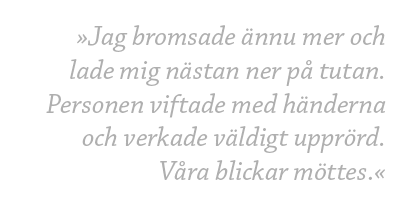 citat_alldeles_for_nara