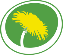 valetkvalet_miljopartiet