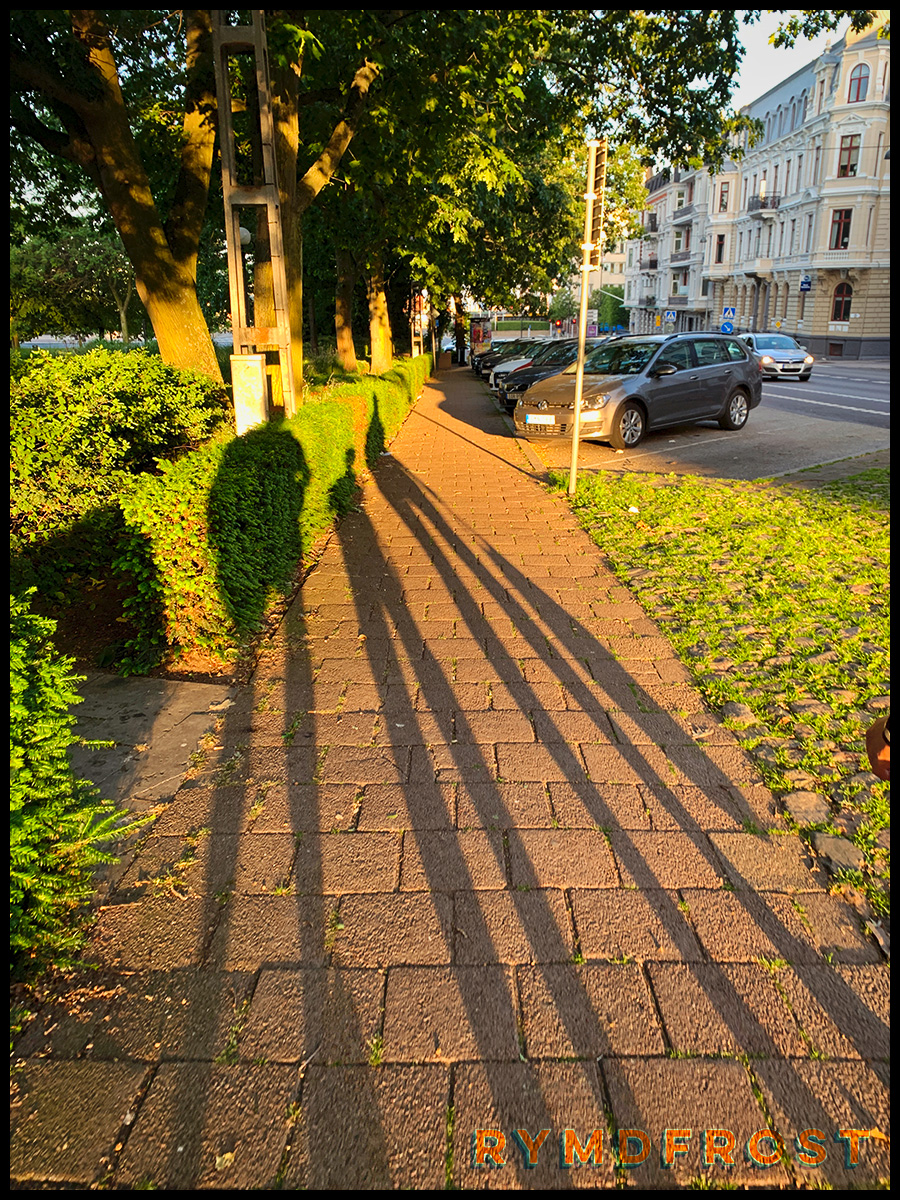 Skuggor i tidig soluppgång